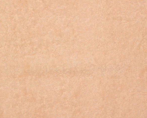 apricot1